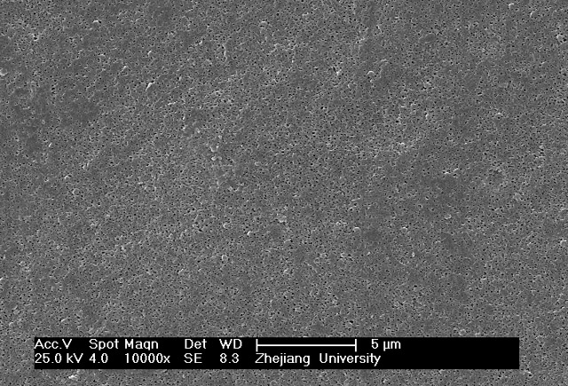 聚偏氟乙烯（PVDF）中空纖維均質(zhì)膜